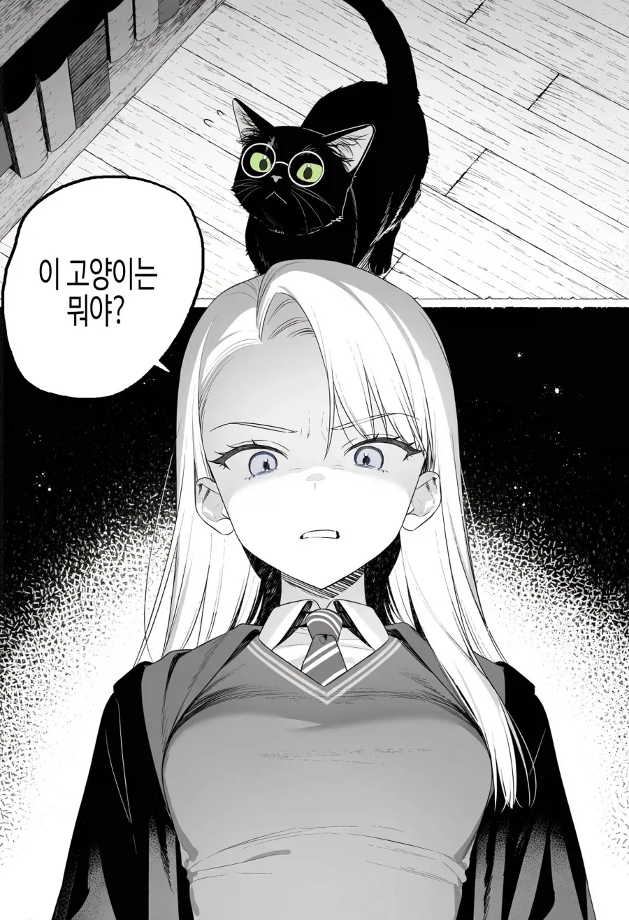 멍청한 해리포터
