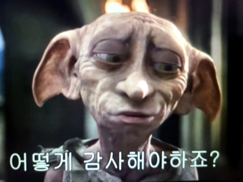 "해리포터, 도비를 자유로 만들어줘서 감사해요"