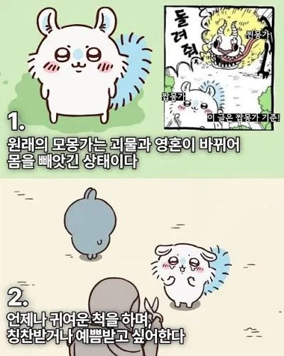 치이카와)알고나면 더 재미있는 세계관 - 이미지 6