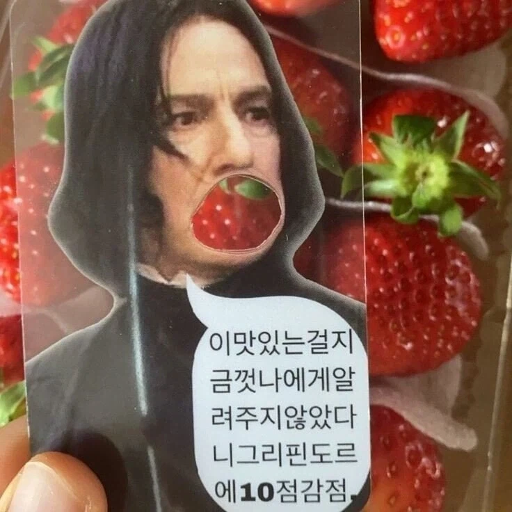 그리핀도르 10점 감점