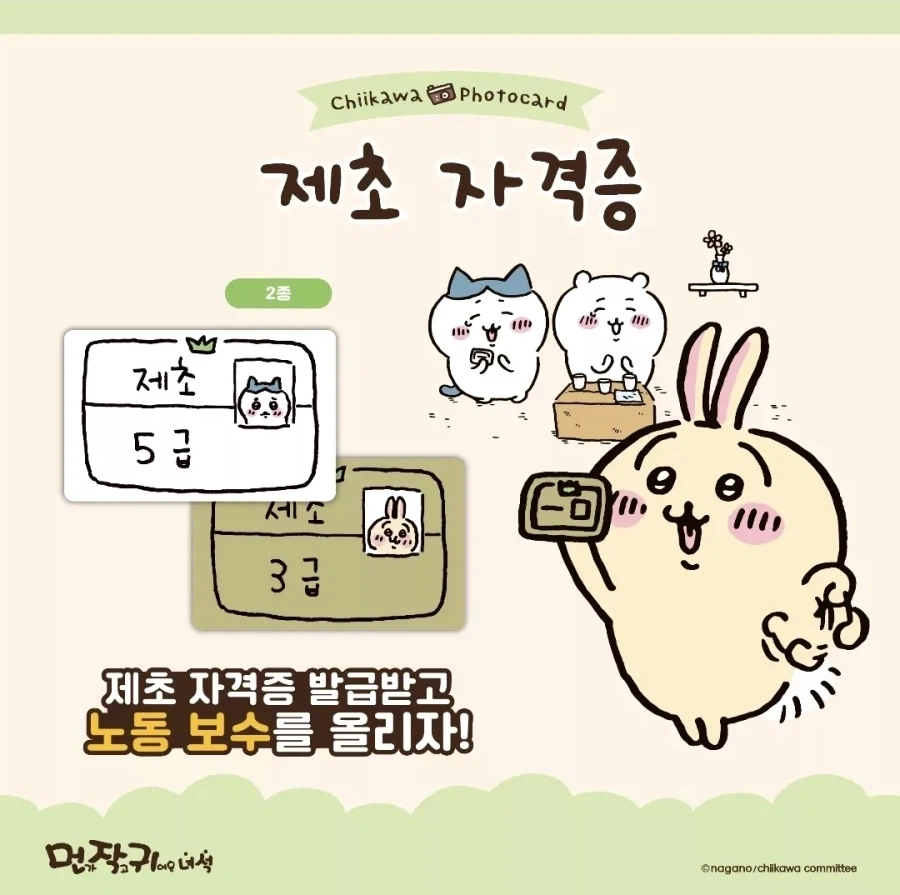 치이카와 세계관 왜이리 맵나