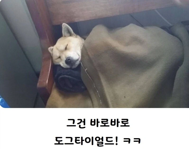 횐님덜!~ 개피곤하다를 영어로 하면 ㅋㅋㅋ?
