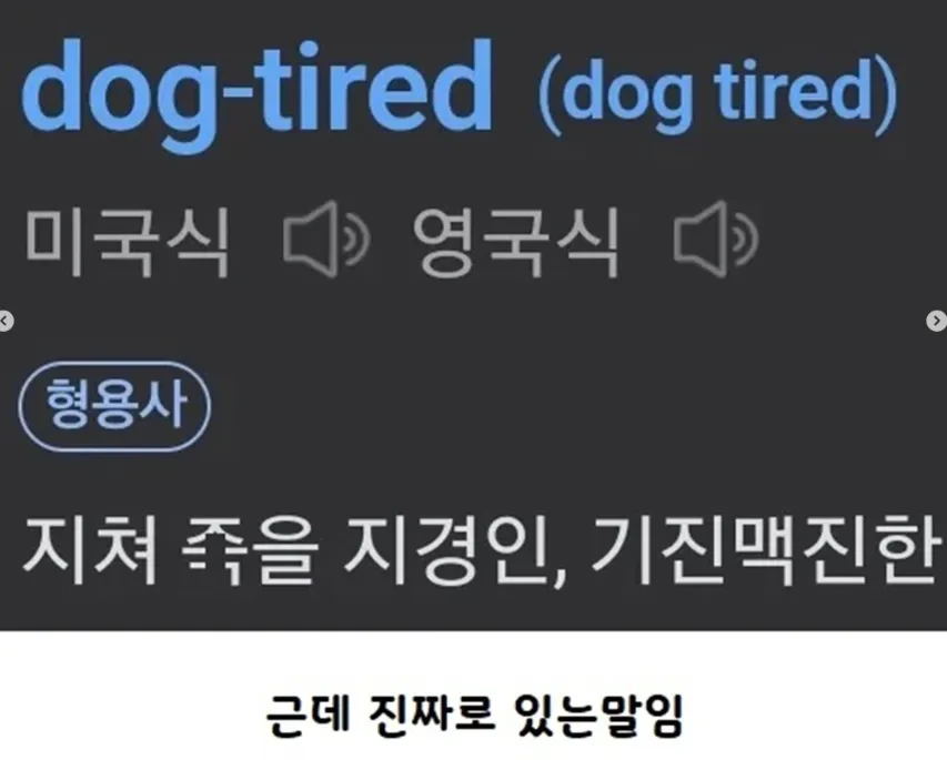 횐님덜!~ 개피곤하다를 영어로 하면 ㅋㅋㅋ? - 이미지 3