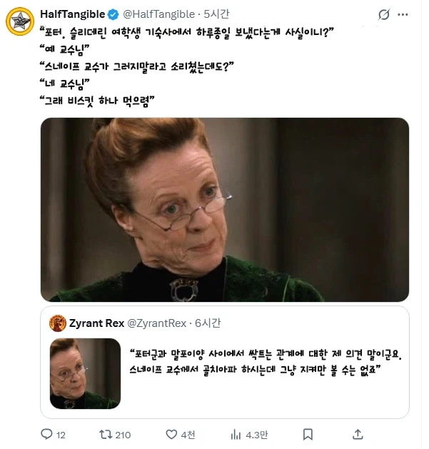 해리포터) 맥고나걸은 이런 컨셉으로 잡히는 듯?