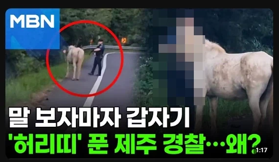 진짜 국내 언론사 섬네일 꼬라지 진짜...