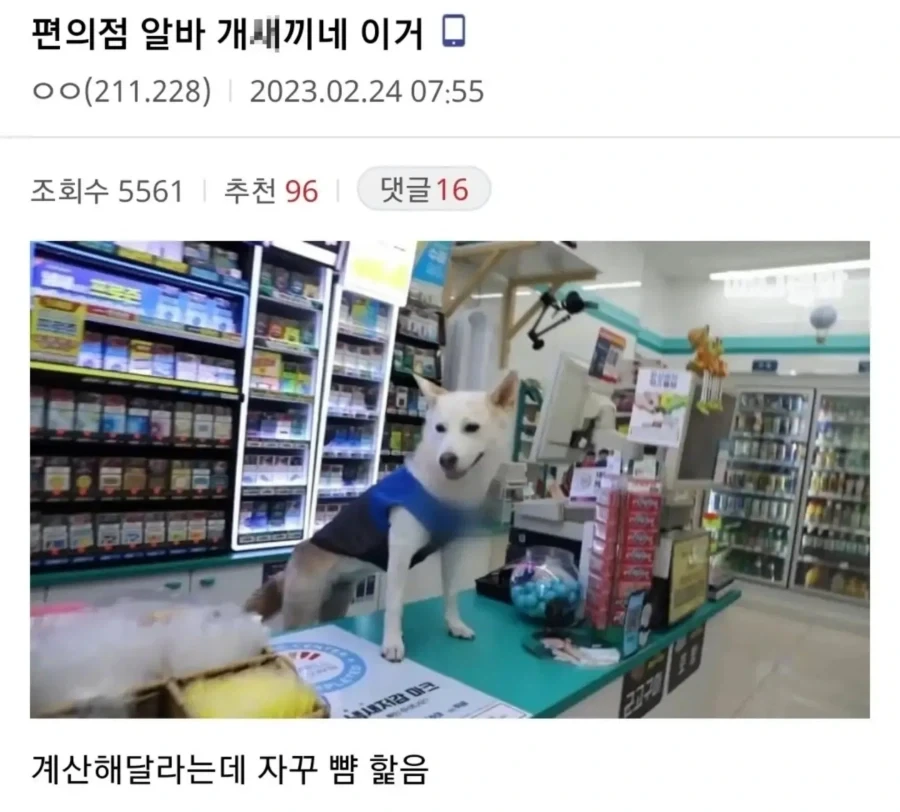 편의점 알바 ㄱㅅㄲ네 이거