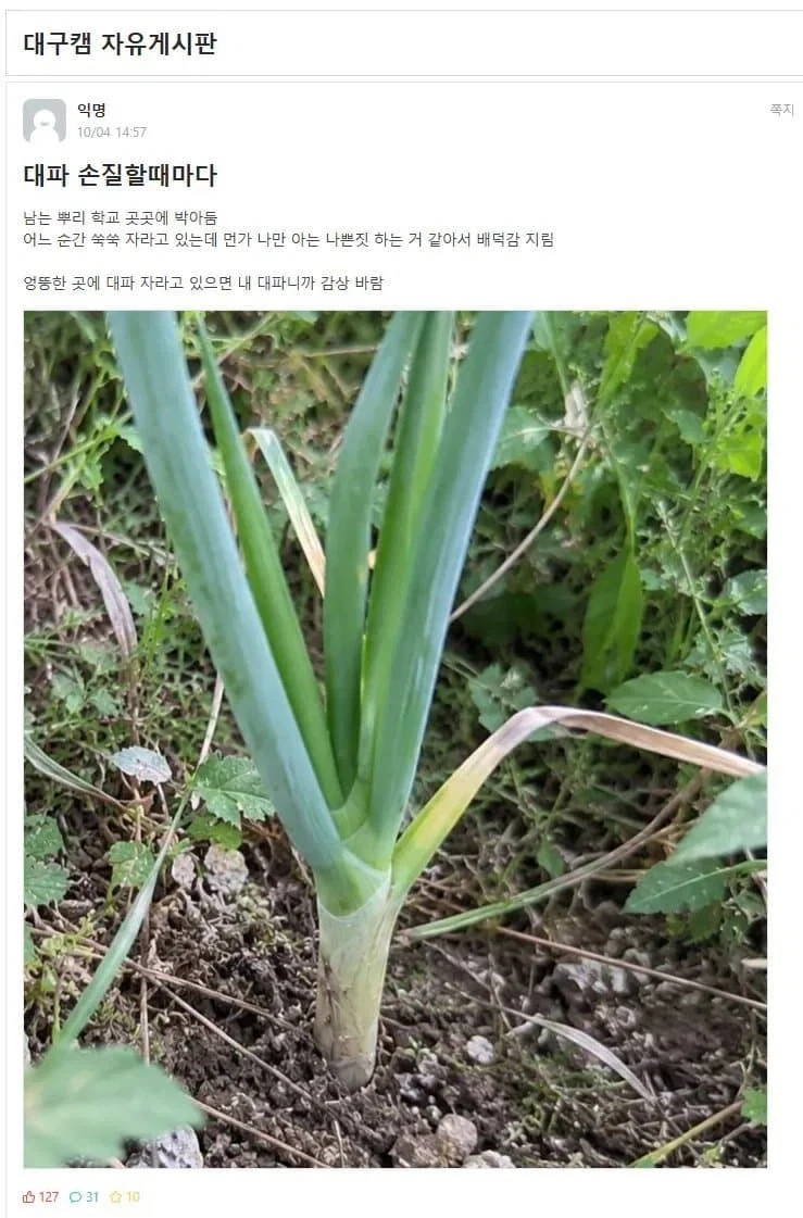 경북대생의 은밀한 취미