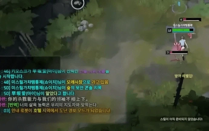 중국식 대극찬