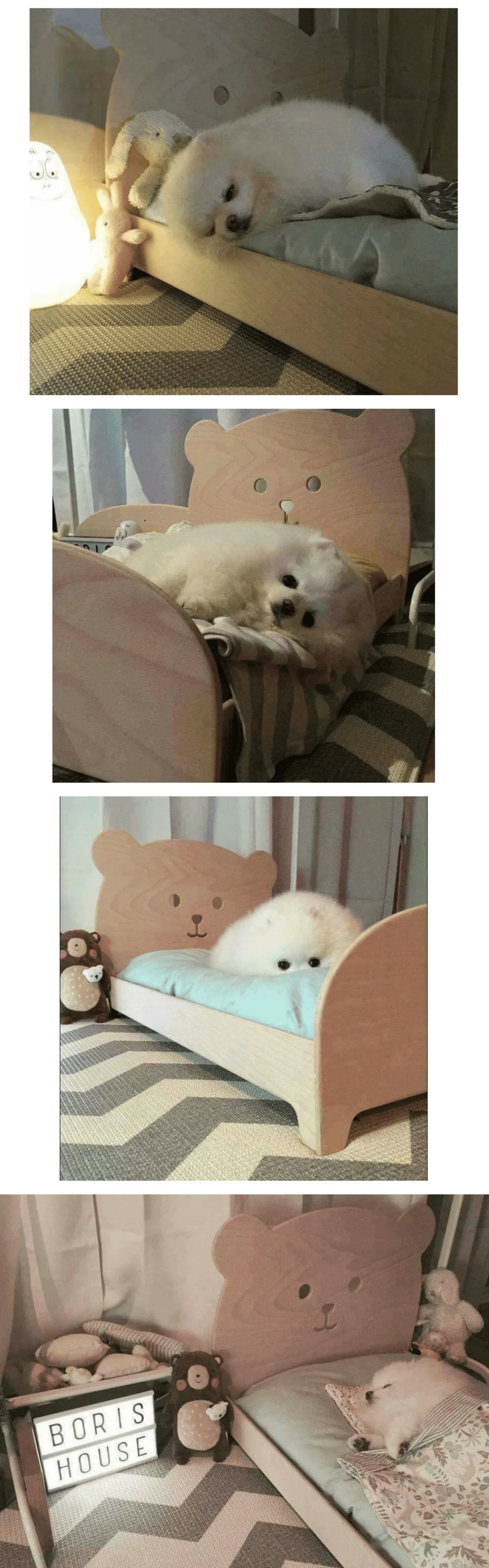 강아지에게 침대를 사줬더니...jpg