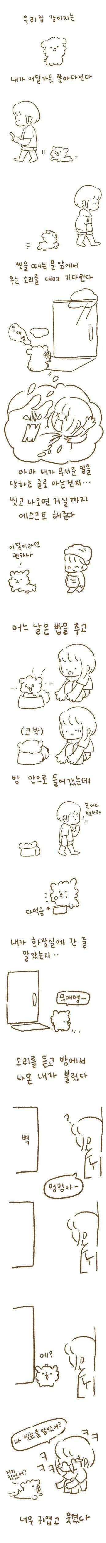 강아지 기르면서 귀여워해주는 만화.manga