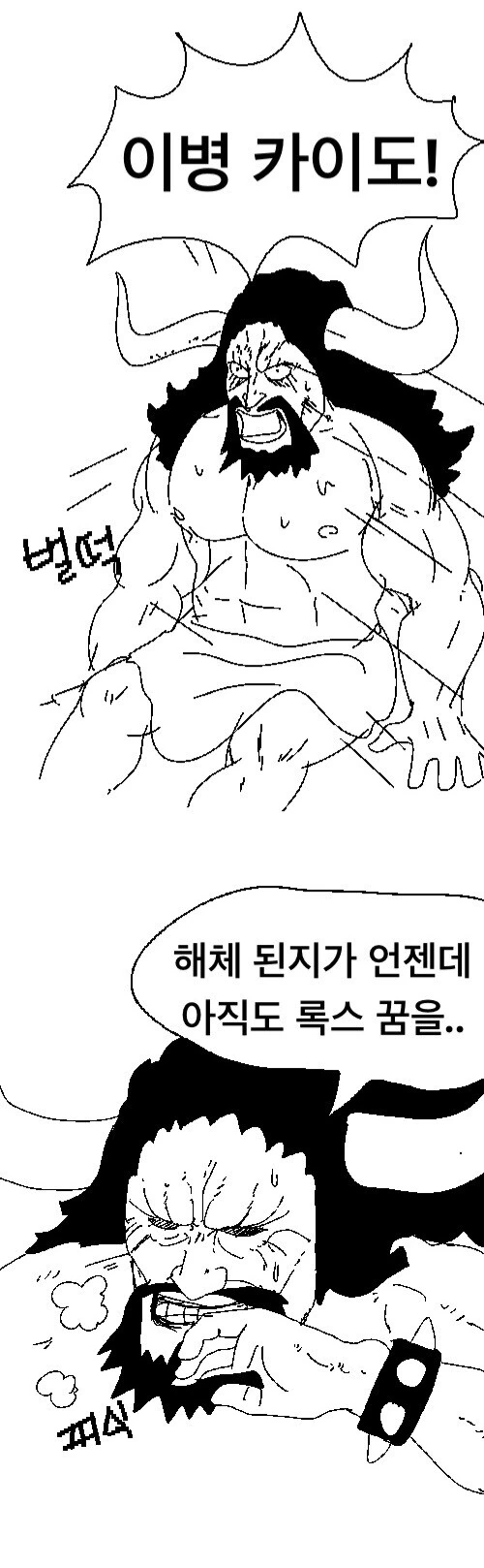 원피스) 록스해적단 공개후 카이도 이미지 요약 - 이미지 2