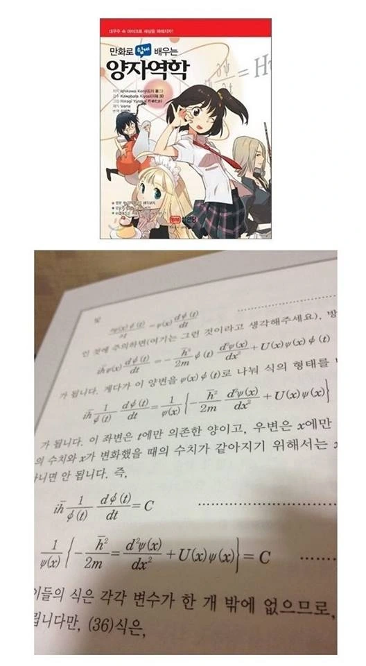 만화로 쉽게 배우는 양자역학.jpg