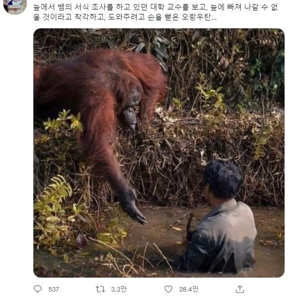 거기 비얌 나온다 인간