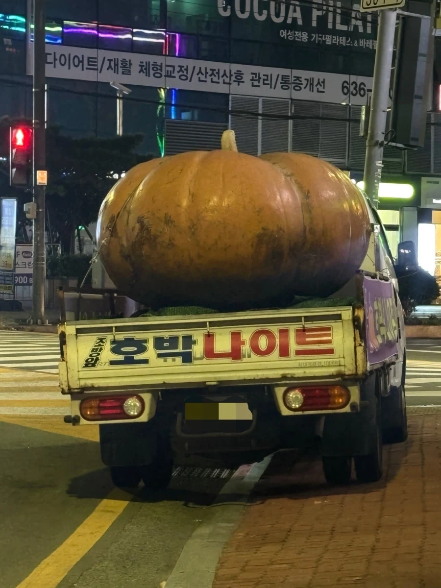 어느 나이트클럽의 아주 직관적인 홍보물