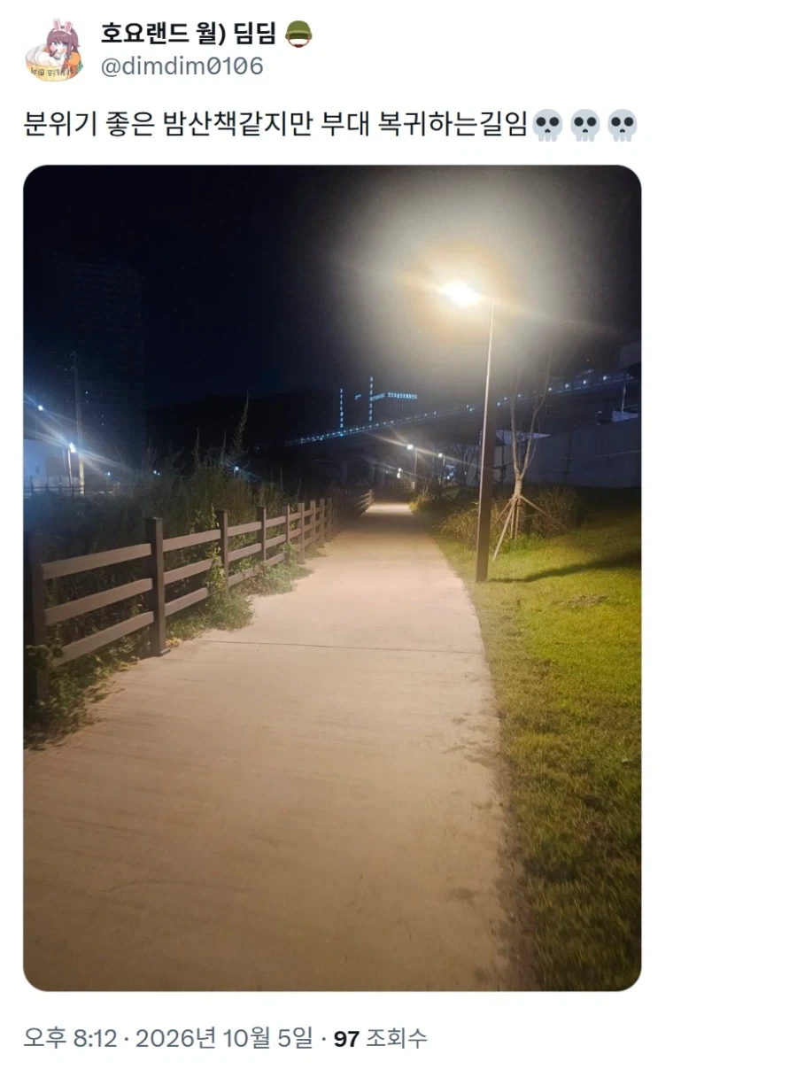분위기 좋은 밤 산책길.jpg