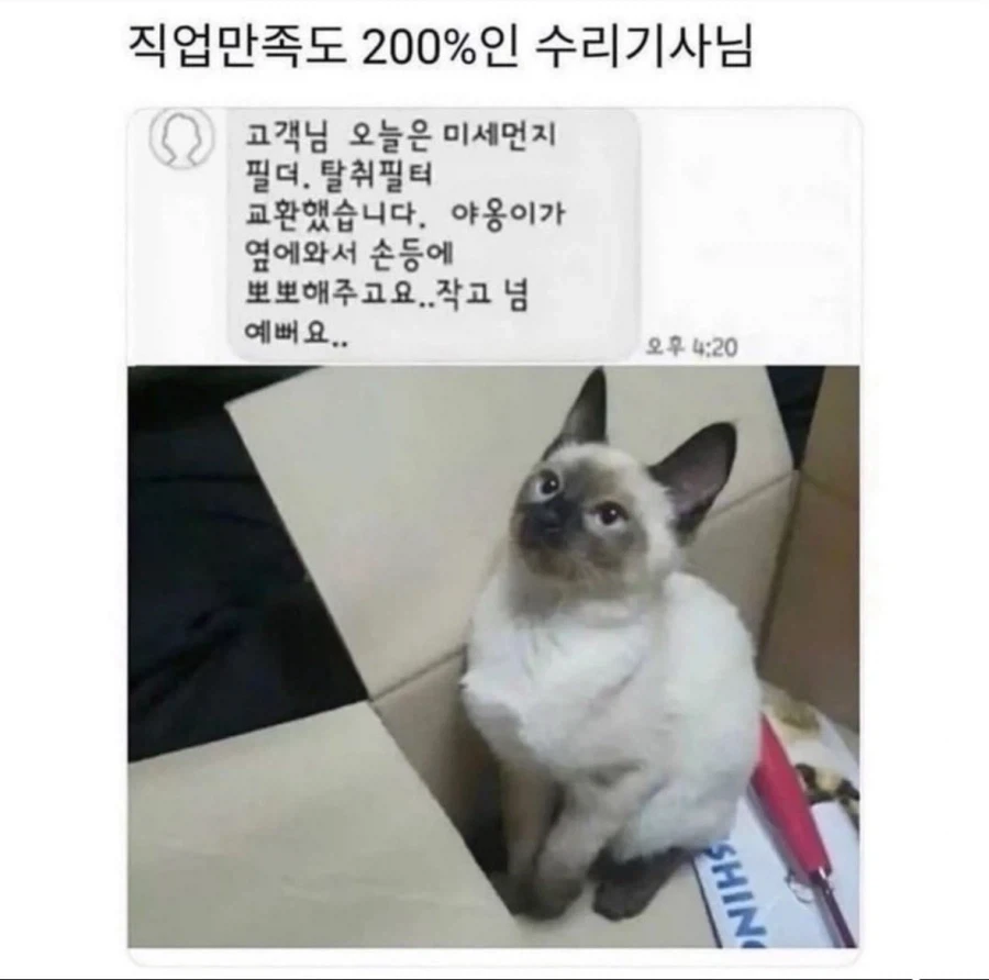 직업만족도 200%인 수리기사님.