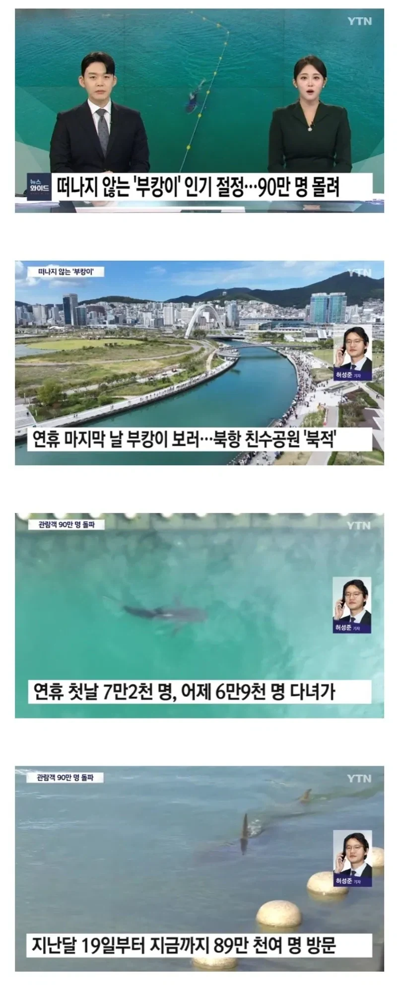 부산 상어공원 방문자수 추이.jpg