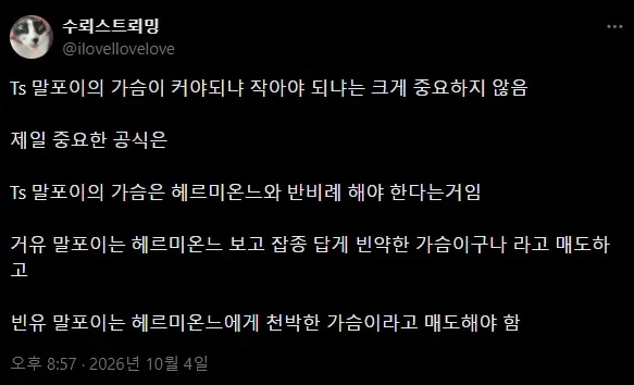 "TS 말포이의 가슴 크기는 중요하지 않아"