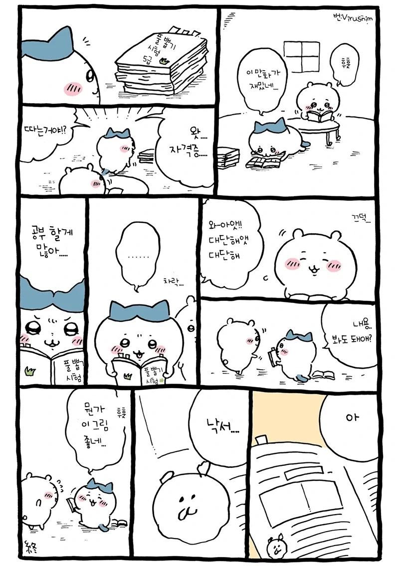 치이카와)알고보면 전문직일수도 있는거