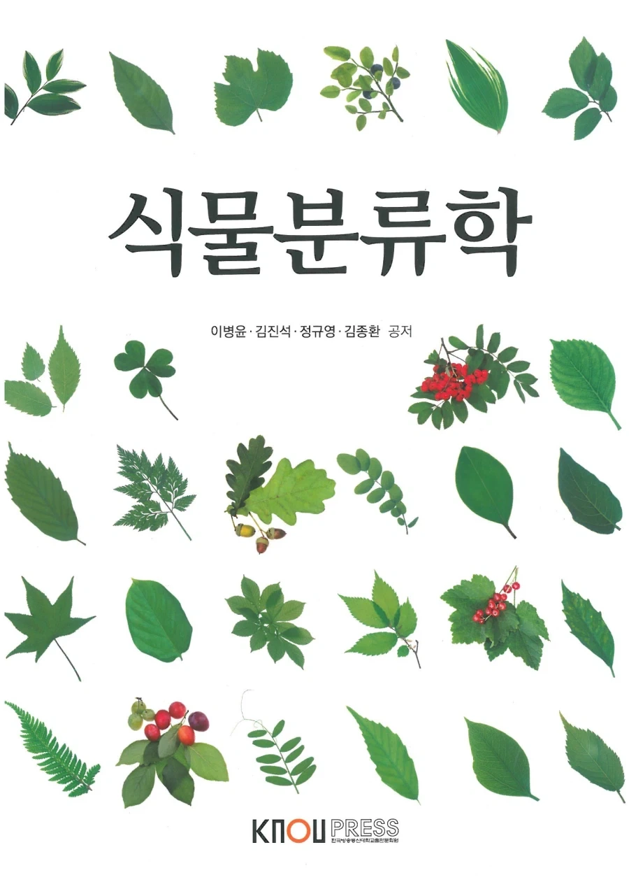 치이카와)알고보면 전문직일수도 있는거 - 이미지 2