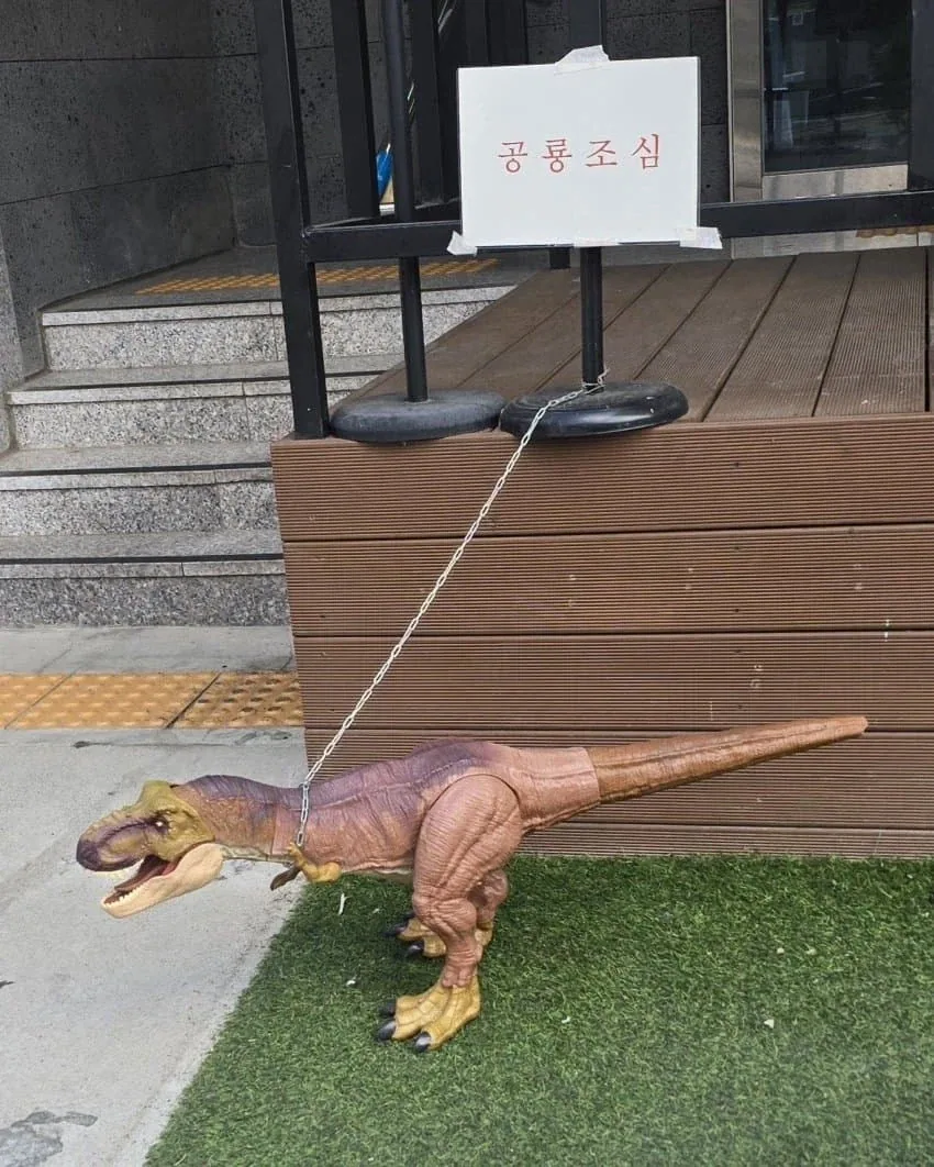 길거리 다닐때 조심해야 하는 거.jpg