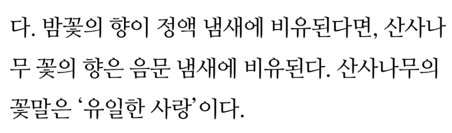 해리포터) ts 말포이는 심기체 처녀론 합격임 - 이미지 7