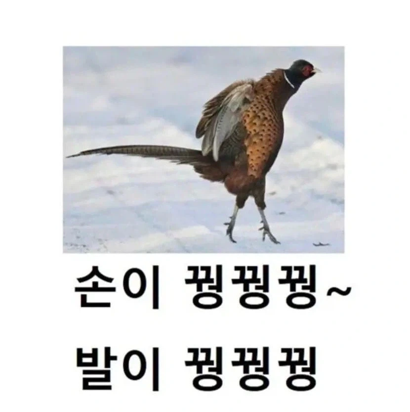 와 연휴 끝나니까 바깥 날씨 진짜