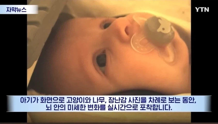 신생아들 정서 학대를 하면 절대 안되는 이유 - 이미지 2