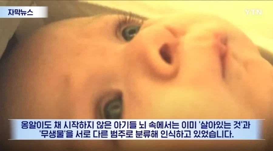 신생아들 정서 학대를 하면 절대 안되는 이유 - 이미지 3
