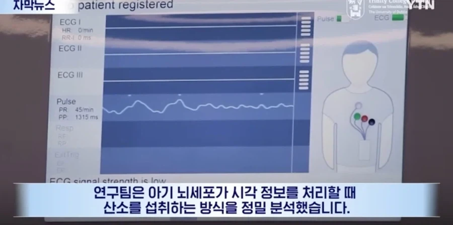 신생아들 정서 학대를 하면 절대 안되는 이유 - 이미지 4