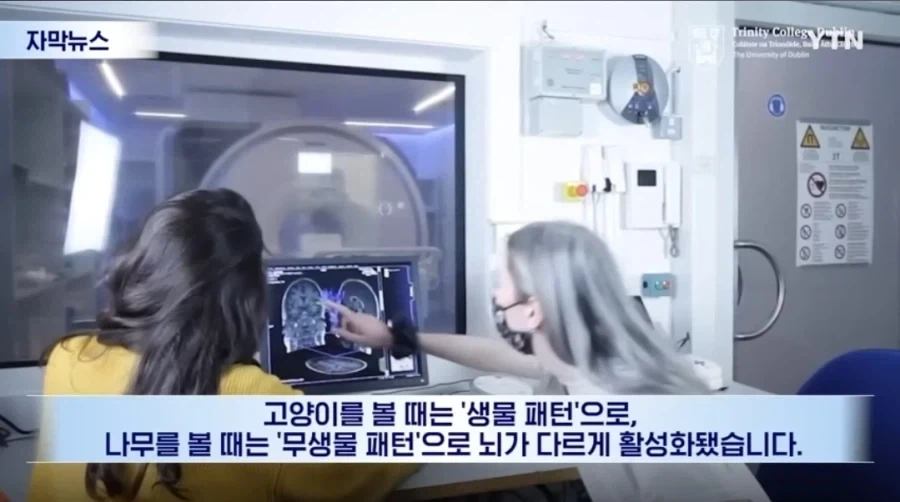 신생아들 정서 학대를 하면 절대 안되는 이유 - 이미지 5