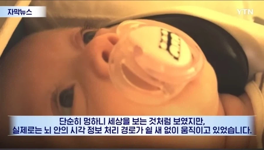 신생아들 정서 학대를 하면 절대 안되는 이유 - 이미지 6