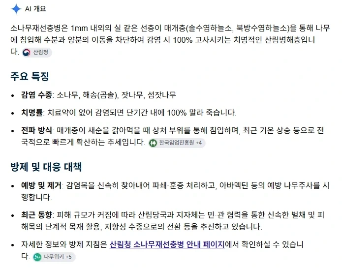울나라 소나무 재선충병 심각한가 보다... - 이미지 2