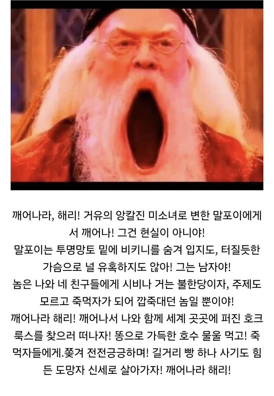 말포이ts의 피해자 - 이미지 4