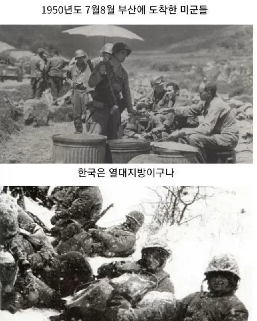 ???:한국은 열대지방이구나!!