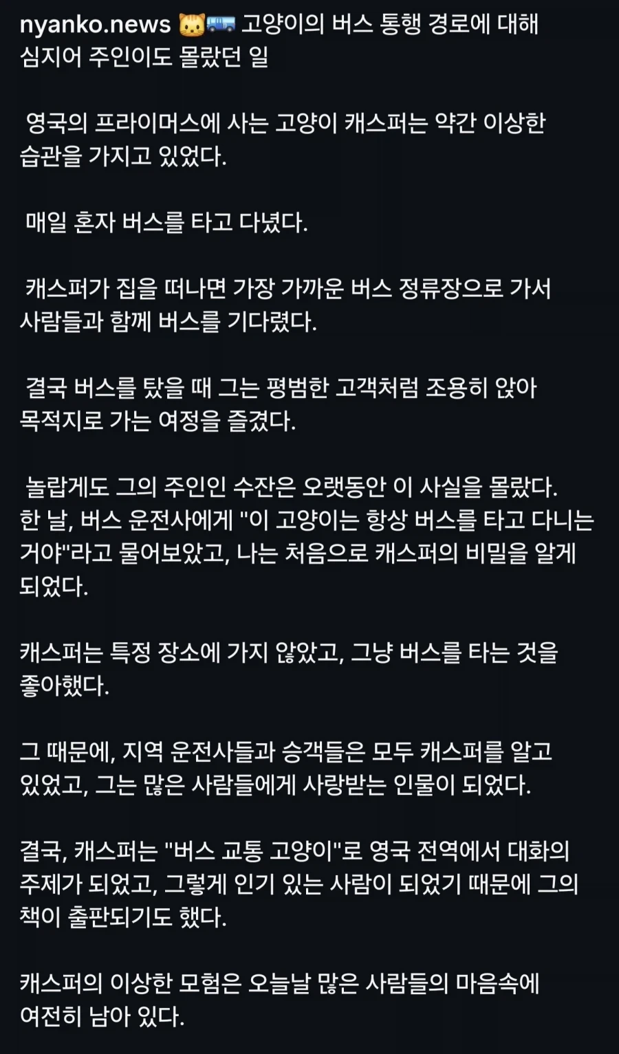 매일 버스타고 돌아댕기는게 루틴인 영국의 고양이... - 이미지 9
