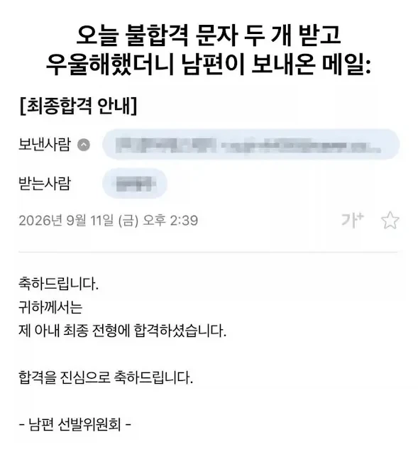 면접 불합격 받고 남편이 보낸 메일