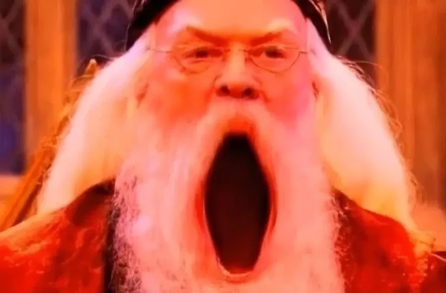 해리포터) ??? : "해뤼이이!!! 제발 여자 기숙사에 그만 들어가거라!!!"