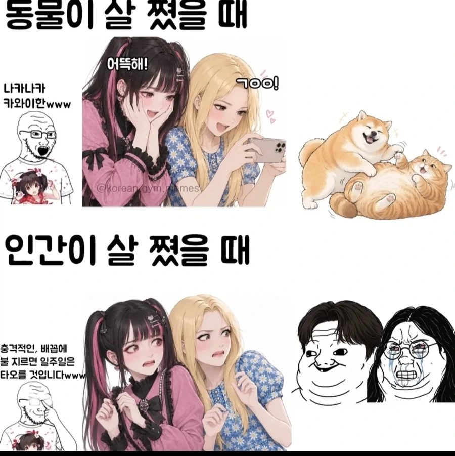 살이 찐거 차이