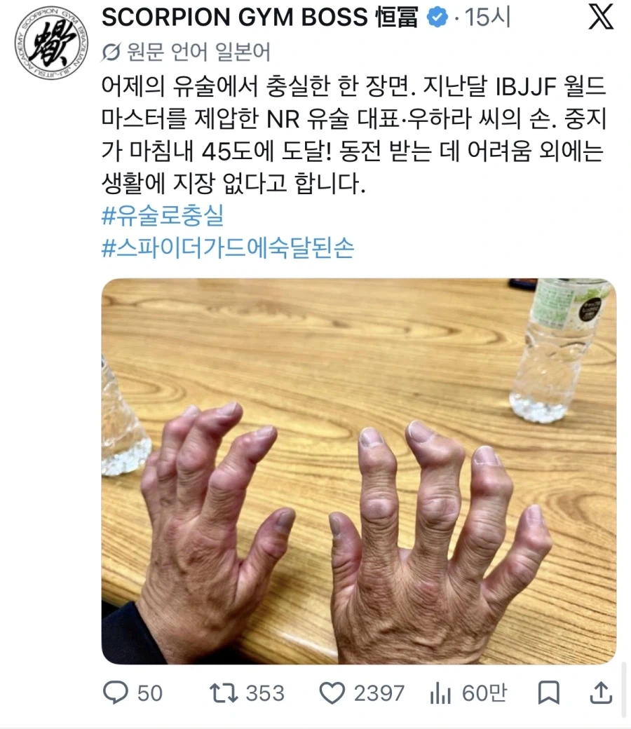 유술 달인의 손