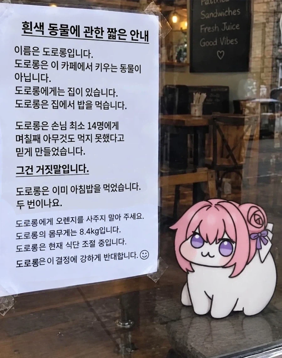 카페 앞 흰색동물에 관한 짧은 안내