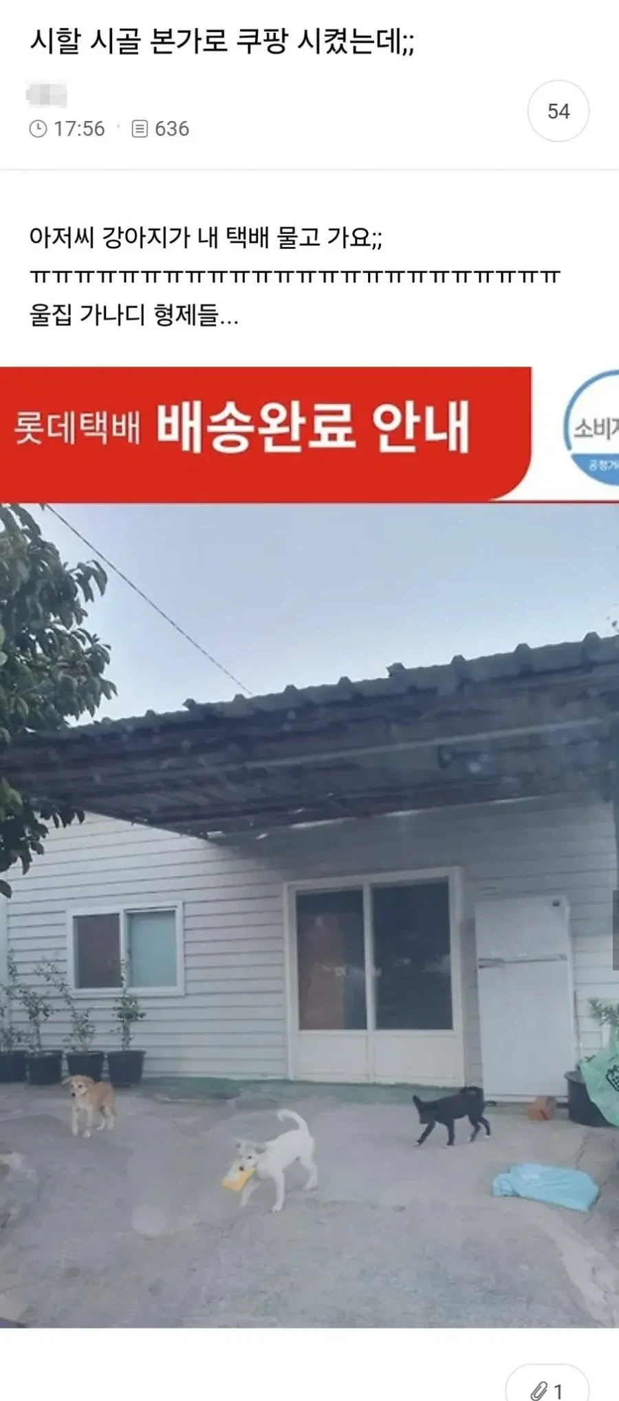 택배 배송완료 사진 레전드 갱신