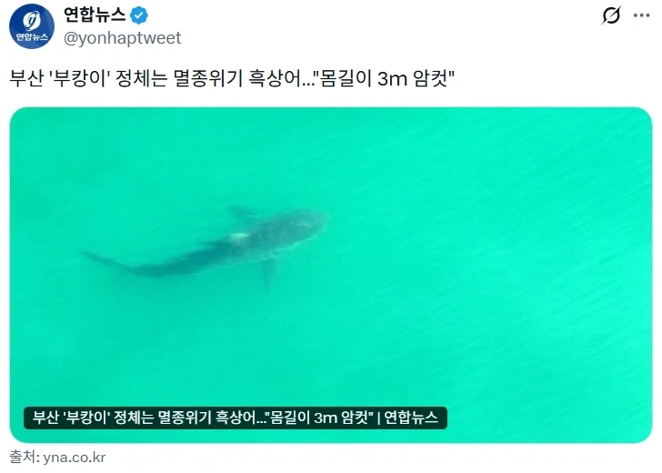이거보니 부캉이 좀 꼴림