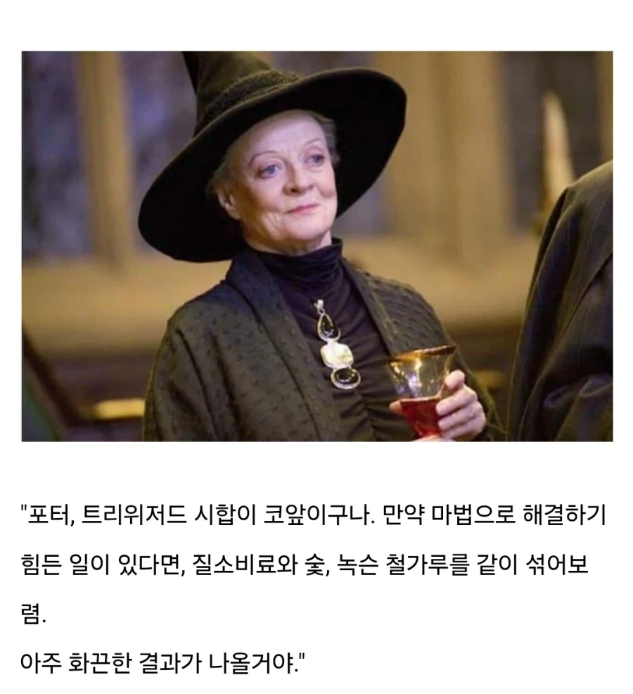 해리포터) 미네르바 맥고나걸의 미네르바는 전쟁의 여신 아테나이다 - 이미지 2