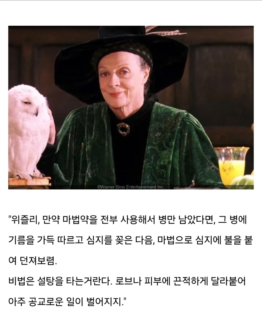 해리포터) 미네르바 맥고나걸의 미네르바는 전쟁의 여신 아테나이다 - 이미지 3