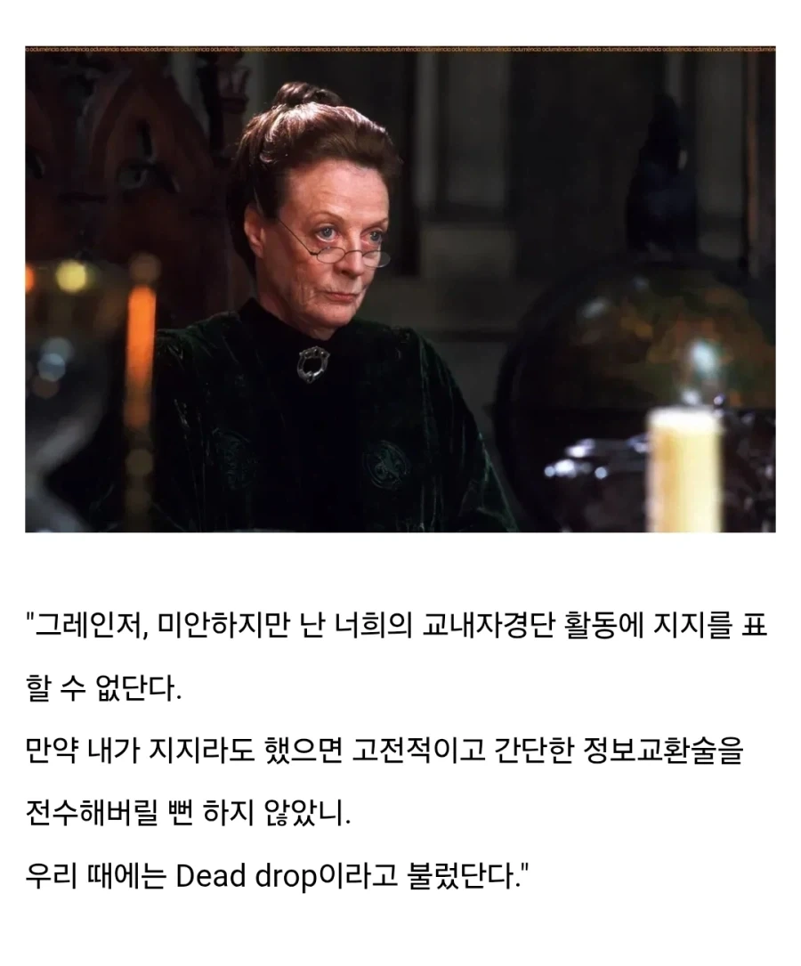 해리포터) 미네르바 맥고나걸의 미네르바는 전쟁의 여신 아테나이다 - 이미지 4
