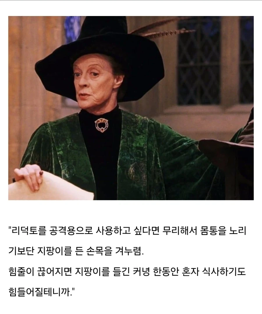 해리포터) 미네르바 맥고나걸의 미네르바는 전쟁의 여신 아테나이다 - 이미지 5