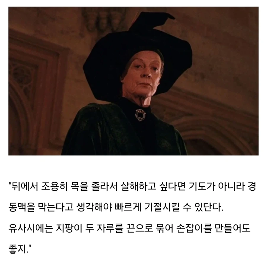 해리포터) 미네르바 맥고나걸의 미네르바는 전쟁의 여신 아테나이다 - 이미지 6