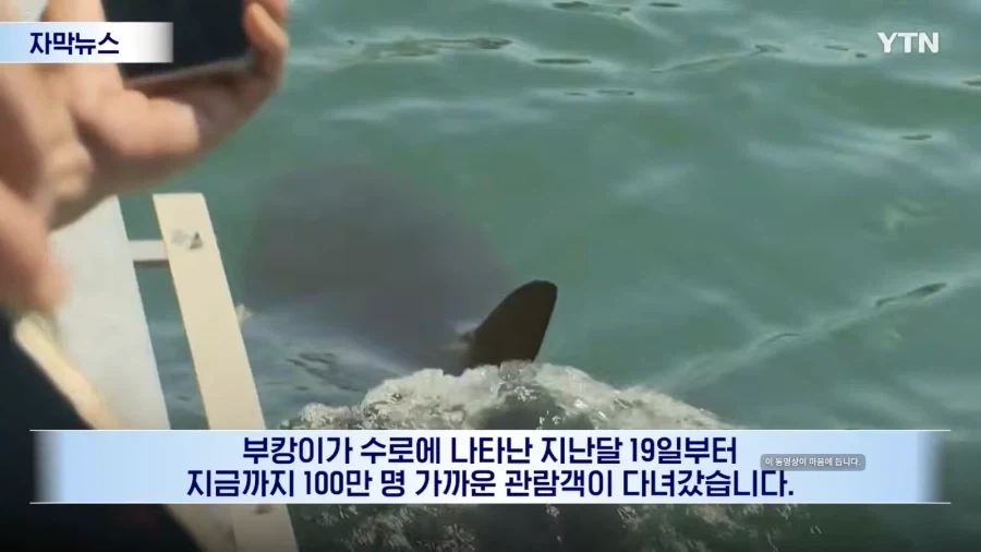 부캉이 구조작전 포기 - 이미지 5