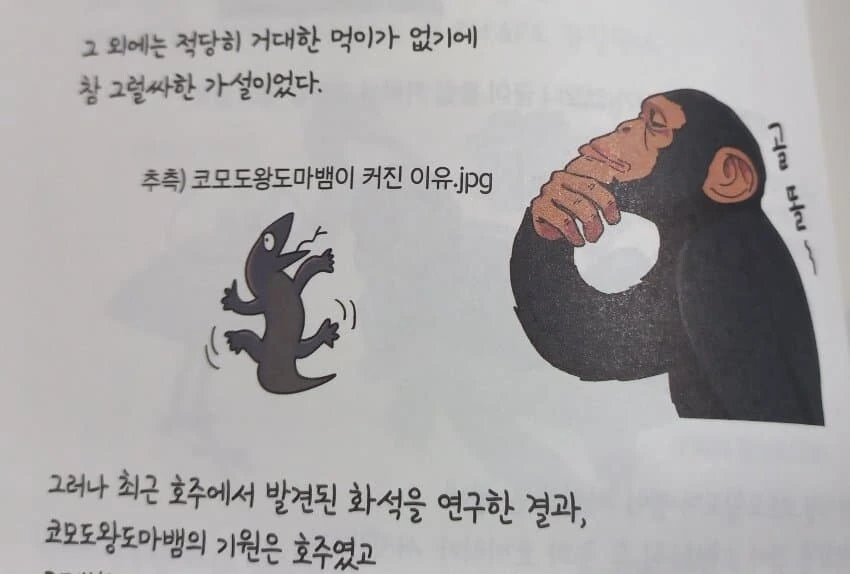 만화로 배우는 멸종과 진화